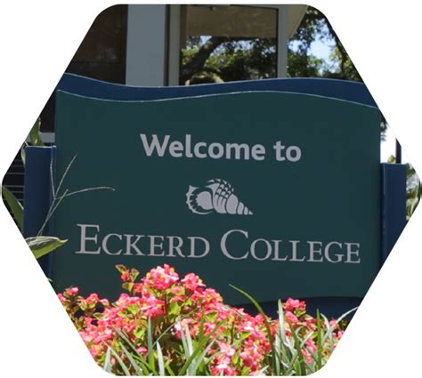 eckerd college one search|eckerd catalog.